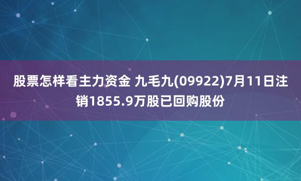 股票怎样看主力资金 九毛九(09922)7月11日注销1855.9万股已回购股份