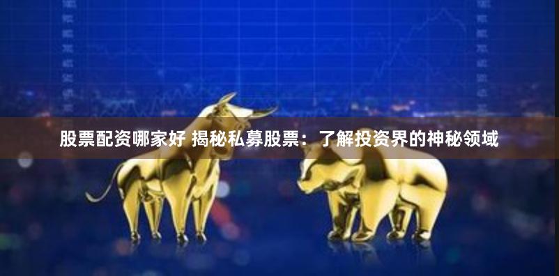 股票配资哪家好 揭秘私募股票：了解投资界的神秘领域