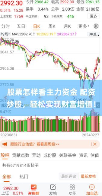 股票怎样看主力资金 配资炒股，轻松实现财富增值！