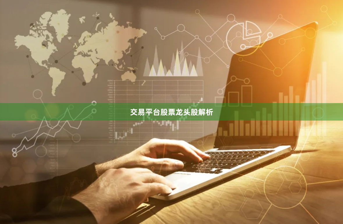 交易平台股票龙头股解析