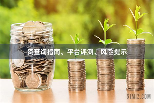 资查询指南、平台评测、风险提示
