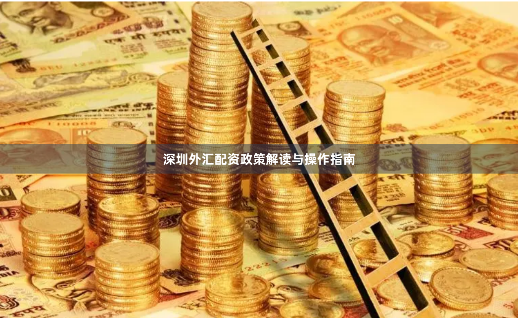 深圳外汇配资政策解读与操作指南